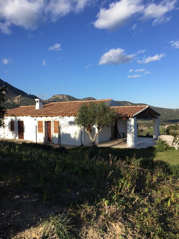 Villa Alba Esclusiva Villa Con Piscina A Sfioro E Vista Mozzafiato Sul Mare Cugnana Exteriér fotografie